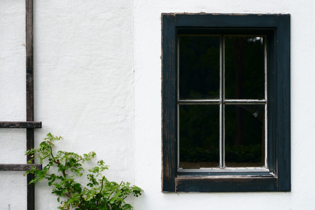 A white house has a window with black trim. There is a plant leaning against the siding.