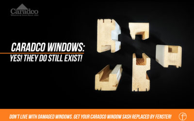 Caradco Windows: Yes, they do still exist!